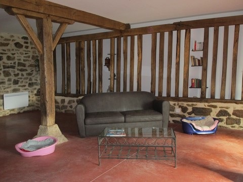 Pièce à vivre des chiens